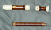 Takeyama Bressan Soprano Brazilian Box & Imitation Ivory A440
