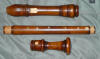Takeyama Bressan Tenor Maple 440